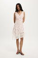 Spliced Lace Dress