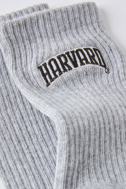 Harvard Special Edition Sock