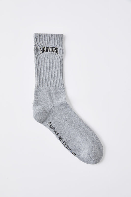 Harvard Special Edition Sock