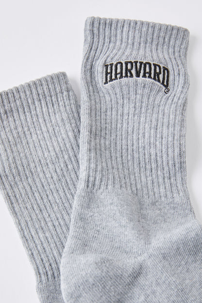 Harvard Special Edition Sock