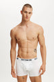 Mens Organic Cotton Trunks