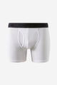 Mens Organic Cotton Boxer Brief