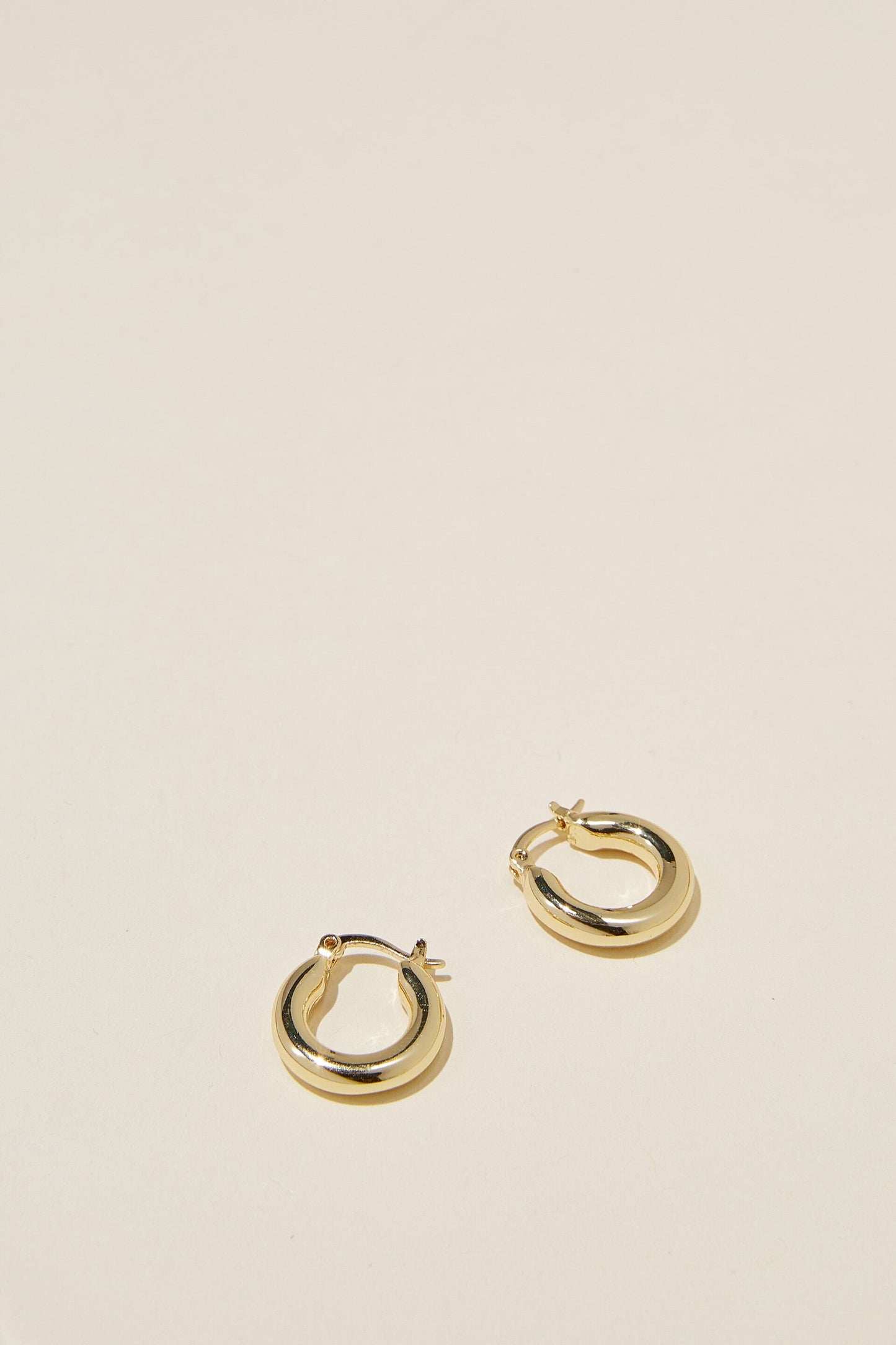 Small Hoop Earring