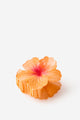Lily Hair Claw