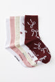 Meias - 5Pk Crew Sock