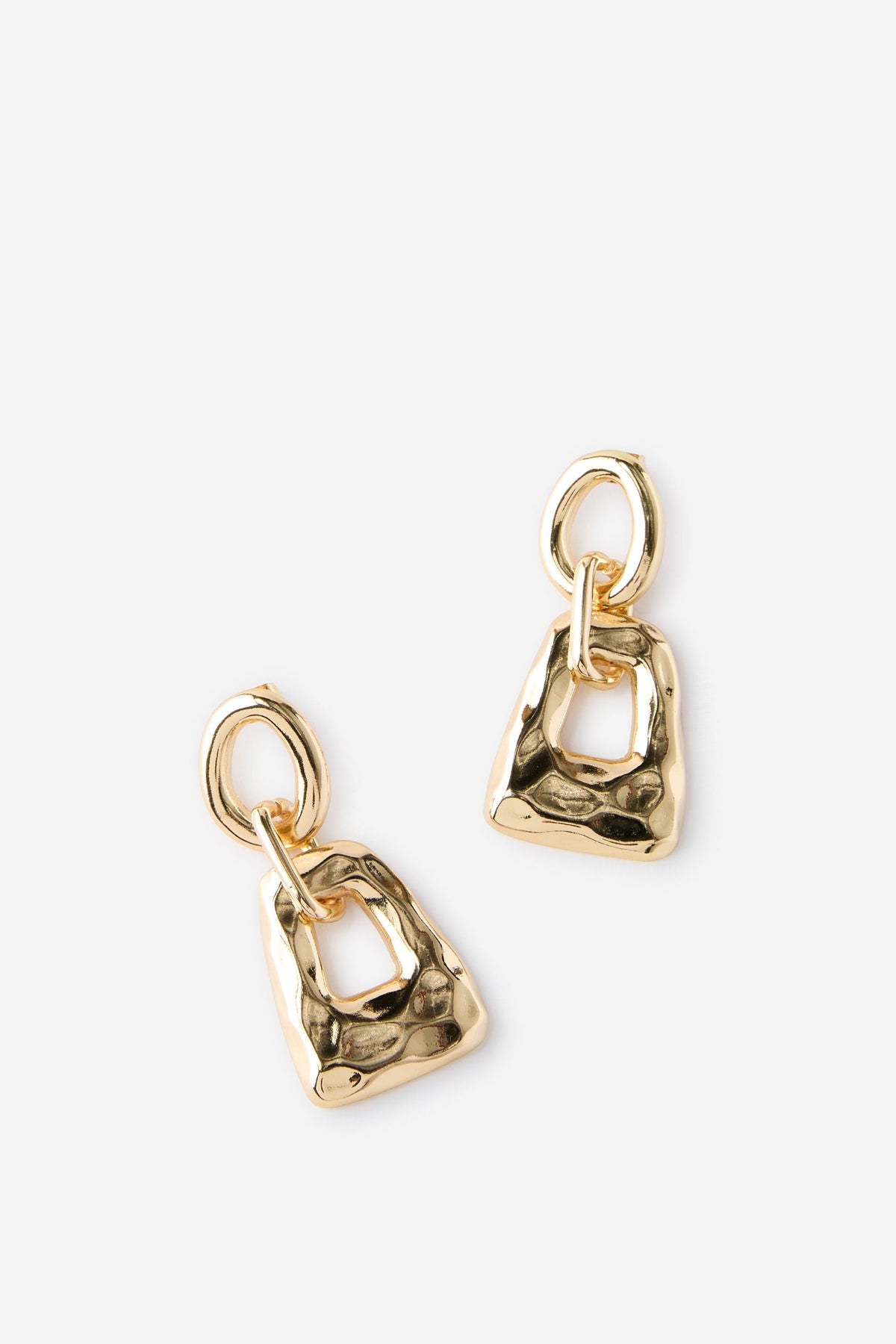 Large Charm Earring