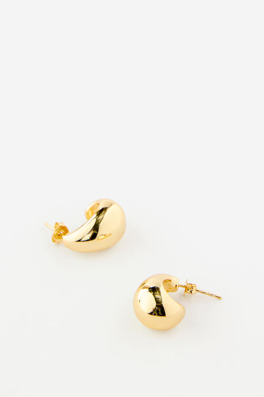 Premium Plated Small Charm Earring