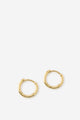Premium Plated Small Hoop Earring