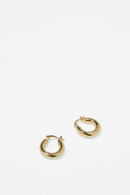 Premium Plated Small Hoop Earring